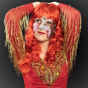 100% Silk Beaded/Sequins  Red Long Sleeve Dress SZ 6